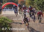 Petřvald