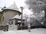 sněhová krása